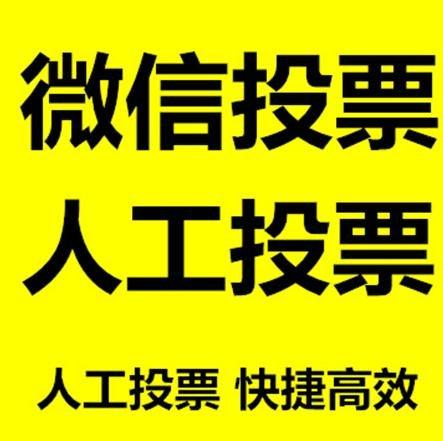 驻马店市投票活动拉票能被查出来吗？如何操作能不被发现？